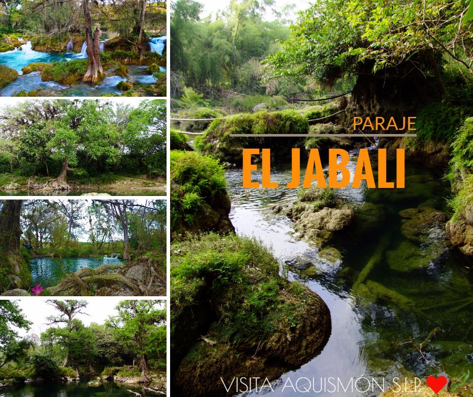 EL JABALI2