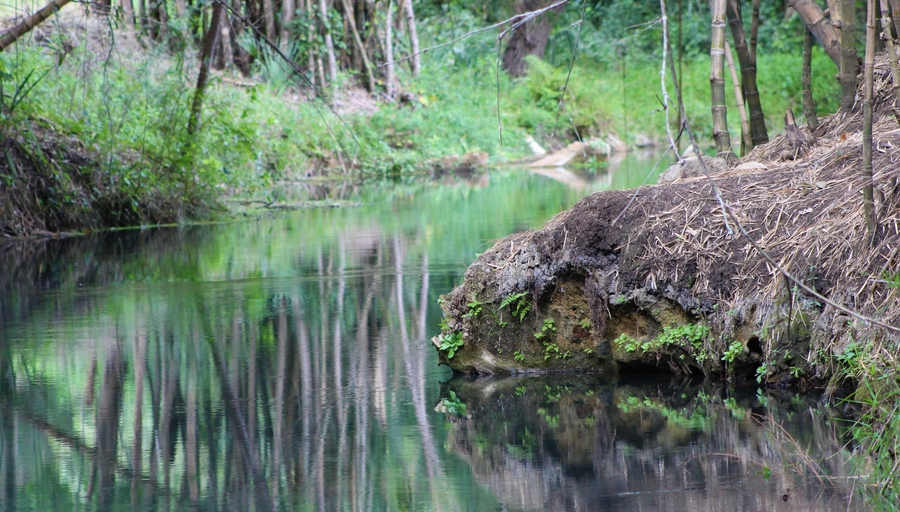 Nacimiento de Santa Anita
