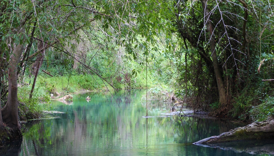 Nacimiento de Santa Anita