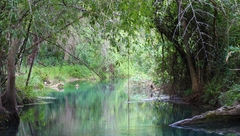 Nacimiento de Santa Anita