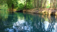 Nacimiento de Santa Anita