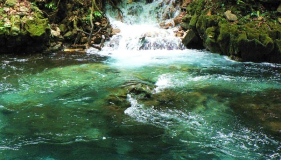 Nacimiento de Tambaque