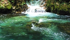 Nacimiento de Tambaque