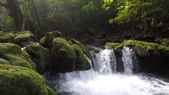 Nacimiento de Tambaque